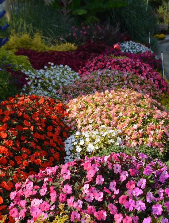 With Annuals, you have to spend money with us annually and we like that.