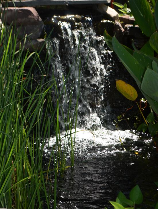 Ponds and waterfalls add tranquility (and reale value!).